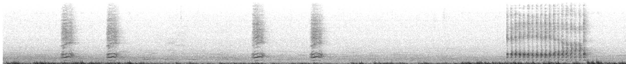 vrána americká - ML640906342