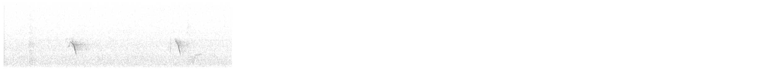 Western Yellow Wagtail - ML640909658