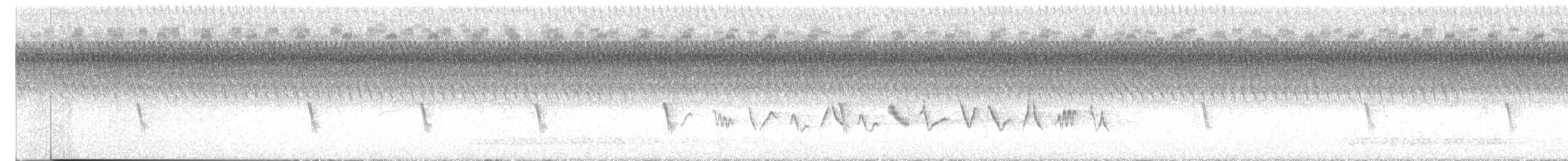 ルリイカル - ML640910166