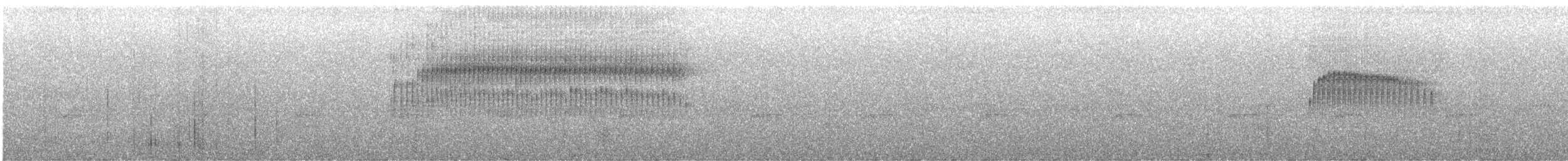 Spotted Barbtail - ML640910580