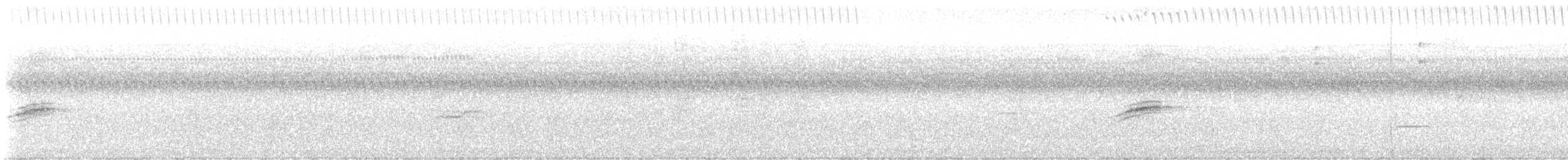 Veery - ML640910601