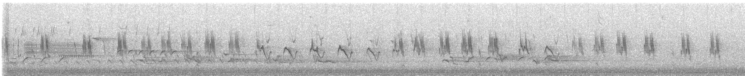 Hirondelle bicolore - ML640911461