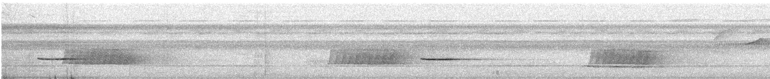 White-breasted Wood-Wren - ML640912077