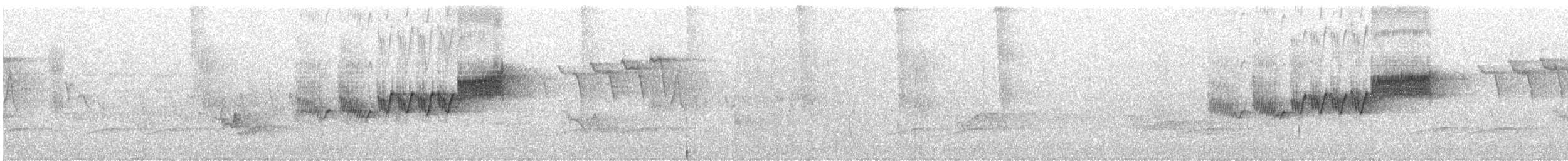 ミズイロアメリカムシクイ - ML640912535