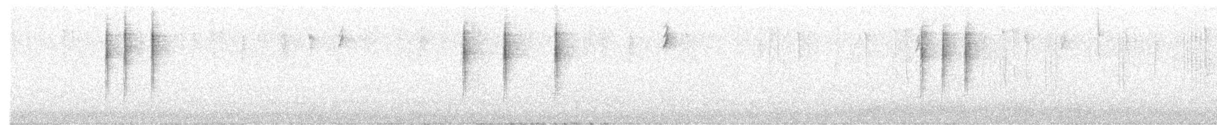 Black-and-white Warbler - ML640915364