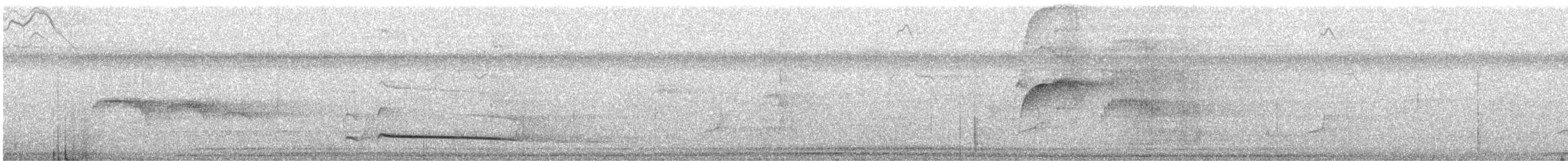 Orange-eyed Flatbill - ML640916568