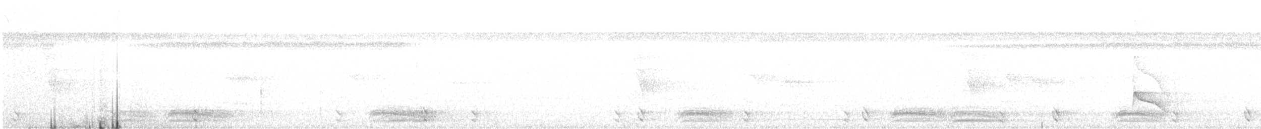 White-shouldered Antshrike - ML640918540