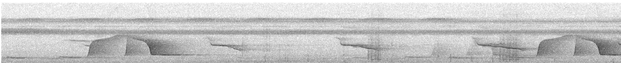 Piauhau hurleur - ML640918602