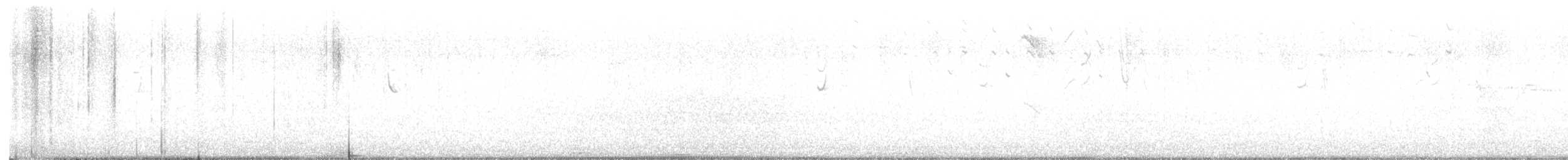 blåpanneamazon - ML640918898