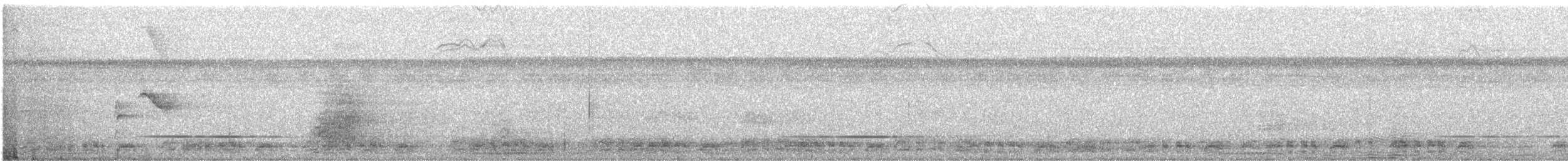 rødstripemanakin - ML640919444