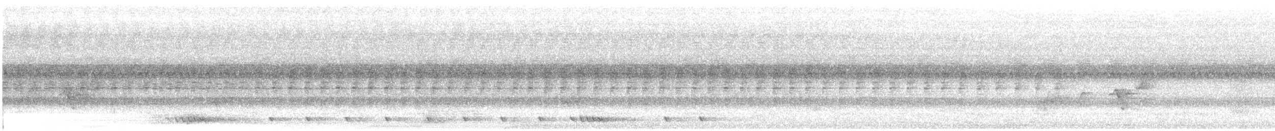 Barbudo Coronigualdo - ML640919986