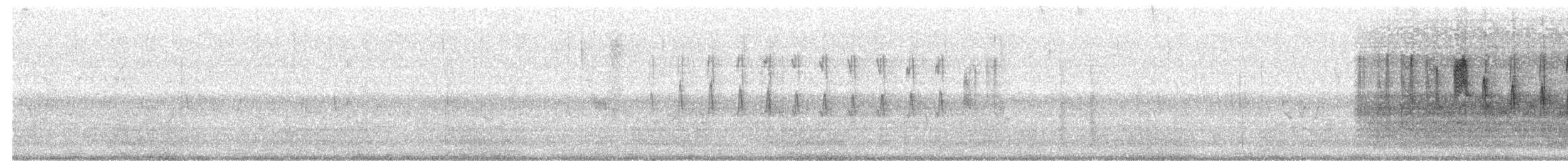 White-sided Hillstar - ML640921461