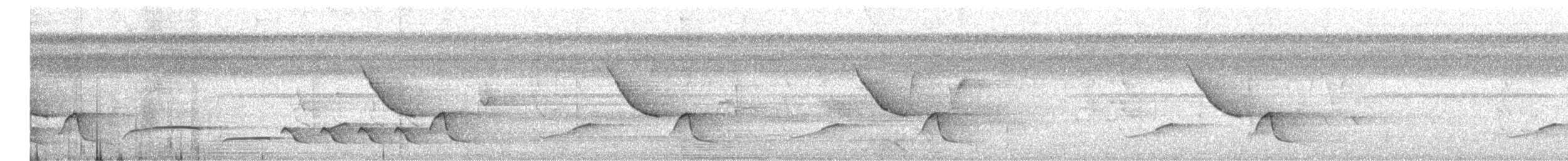Coraya Wren - ML640922415