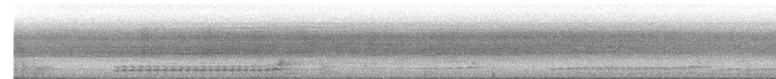 Black-crowned Antshrike - ML640922759