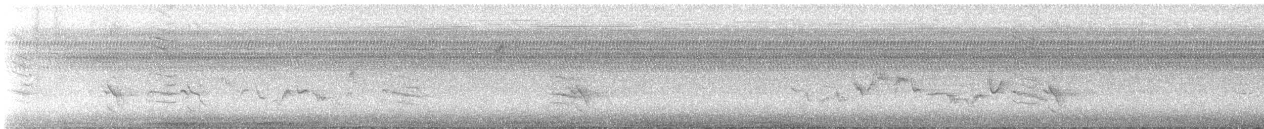 Warbling Vireo - ML640922770