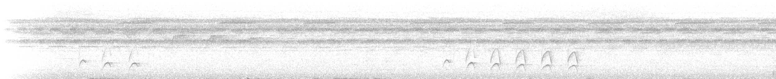 Myrmidon à flancs blancs - ML640922850