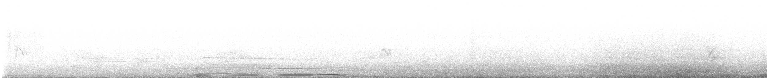 West Peruvian Dove - ML640923441