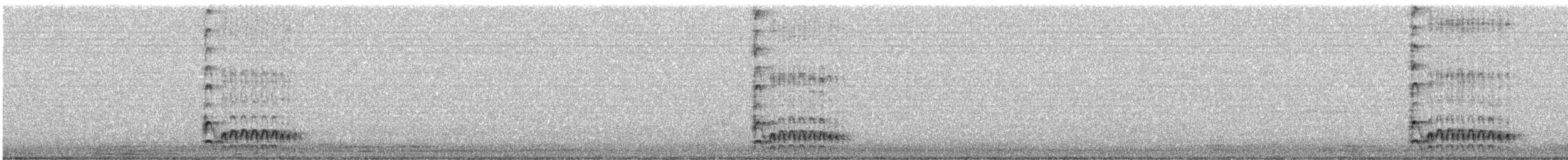 Lineated Woodpecker - ML640924843