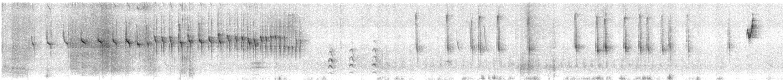 Straight-billed Reedhaunter - ML640925639