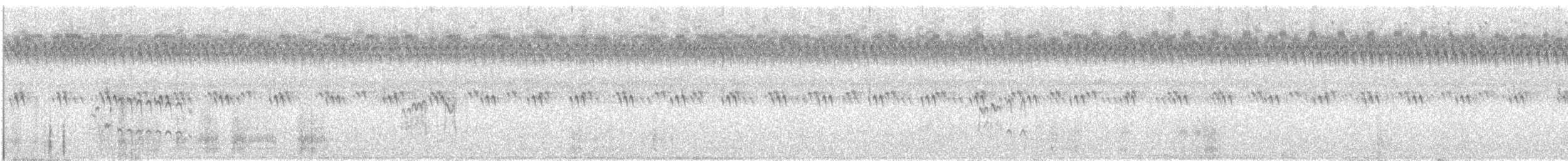 Least Sandpiper - ML640926457