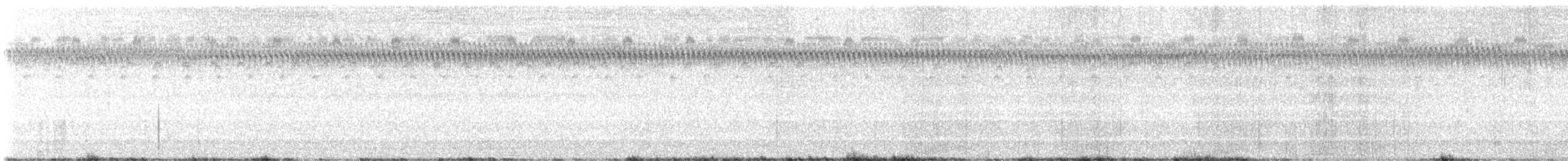 Sora - ML640926720