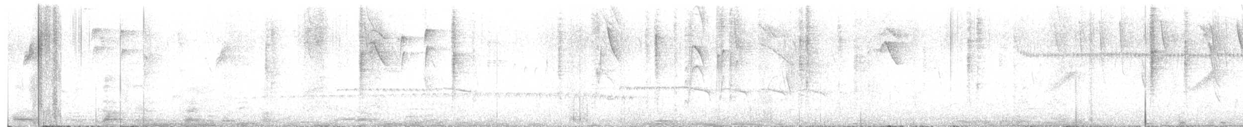 Batara moucheté - ML640927825