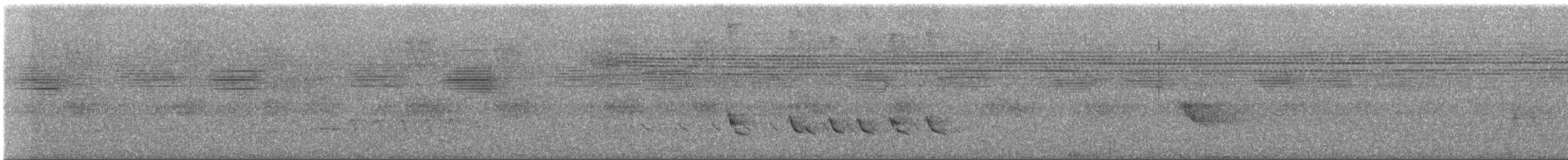 White-winged Becard - ML640928150