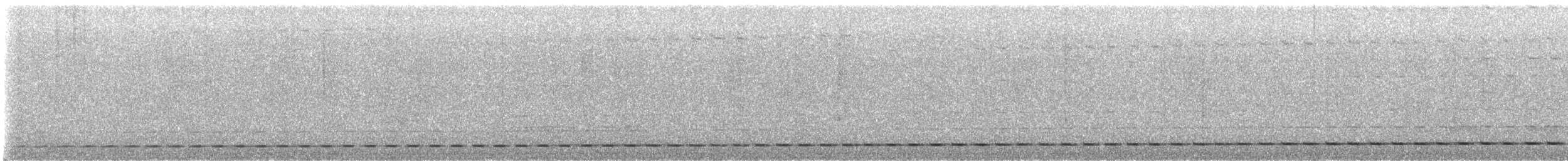 Such's Antthrush - ML640928512
