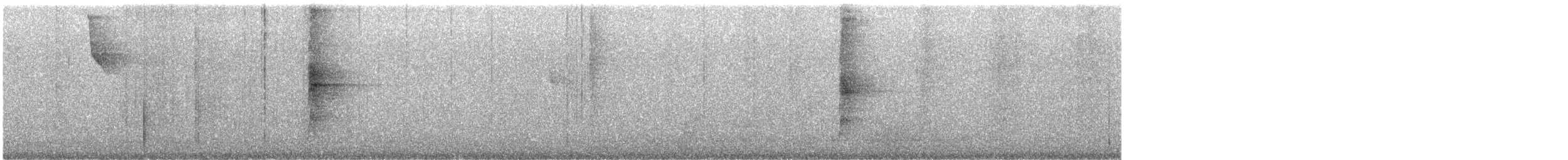 Sclérure à poitrine rousse (scansor) - ML640928519
