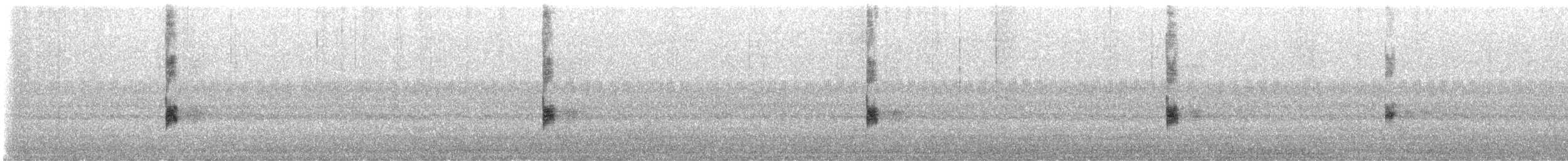 マミジロマネシツグミ - ML640930636