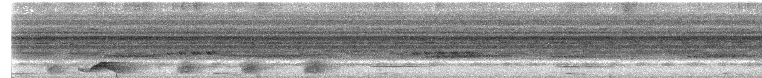 Pauraquenachtschwalbe - ML640931097