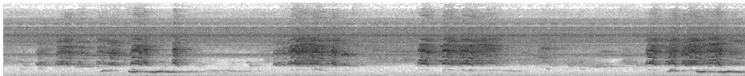 Weintaube - ML640931202