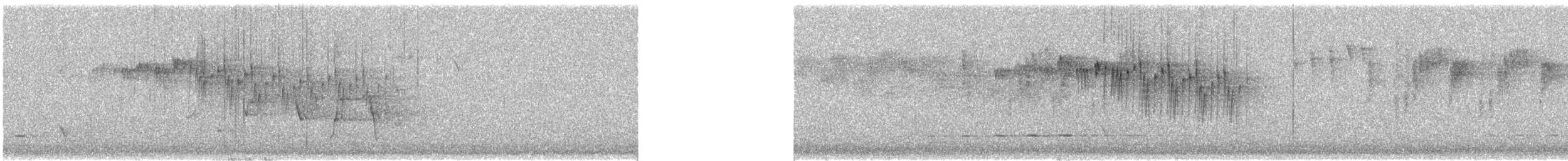 Splendid Fairywren - ML640931319