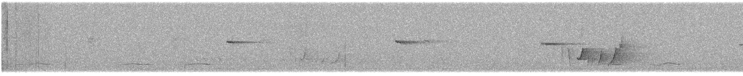Western Shrike-tit - ML640931339