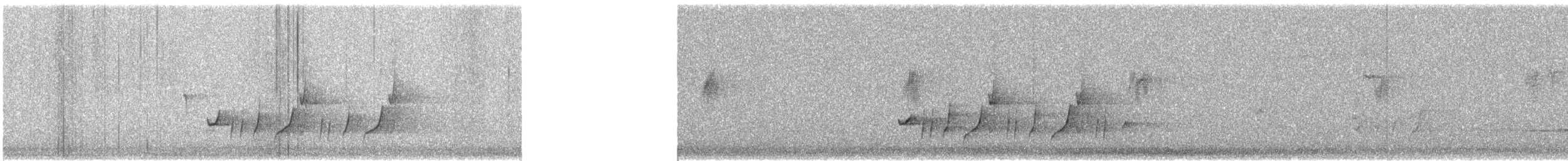 Mielero Adornado - ML640931352