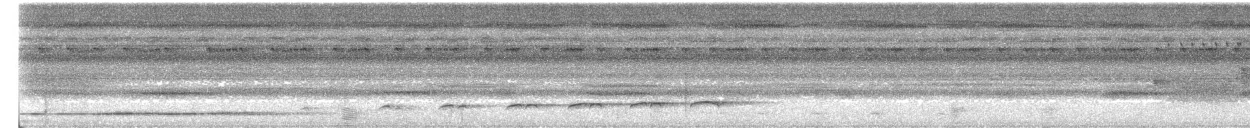 Gelbbürzel-Attilatyrann - ML640931599