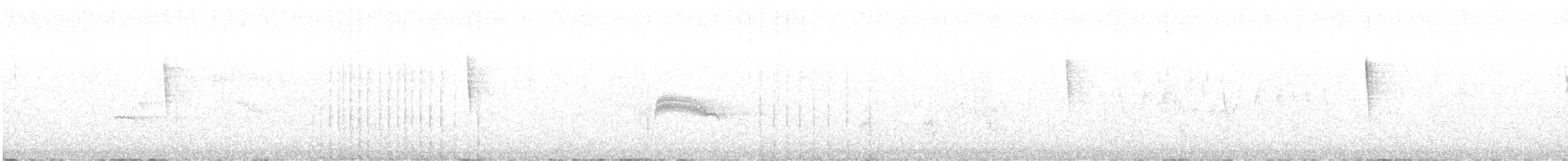 Grace's Warbler - ML640934971