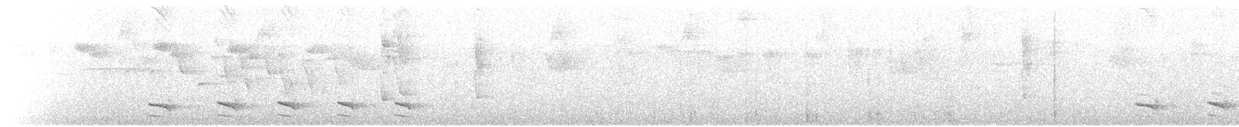 Uniform Antshrike - ML640936475