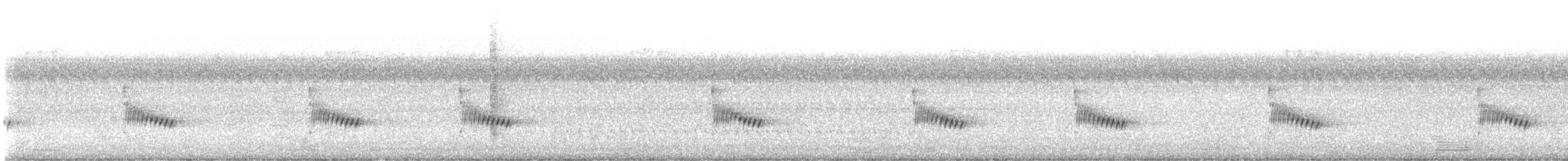 チャバラマユミソサザイ - ML640937052