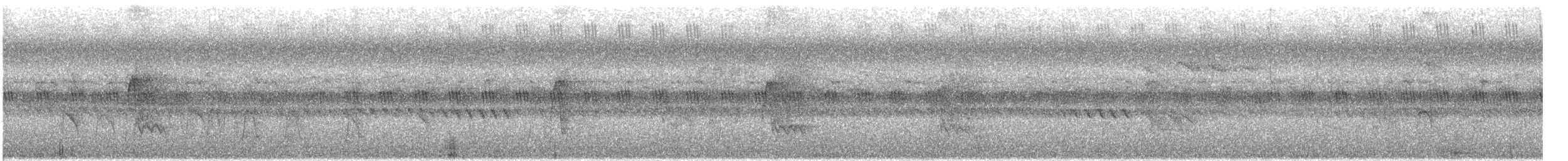 Dark-sided Flycatcher - ML640937756