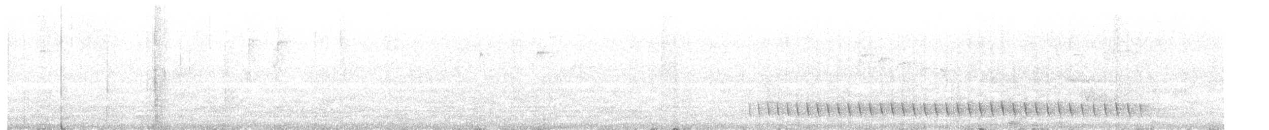 Lewin's Honeyeater - ML640940700