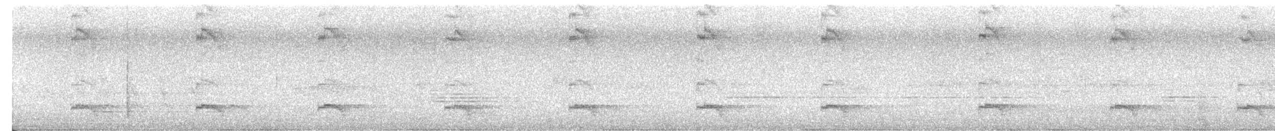 Pied Cuckoo - ML640944734