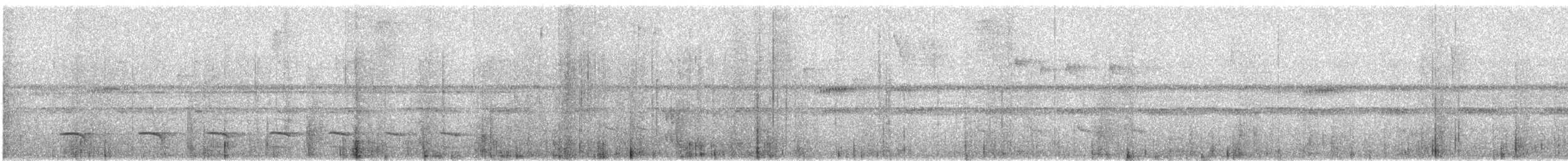Uniform Antshrike - ML640945312