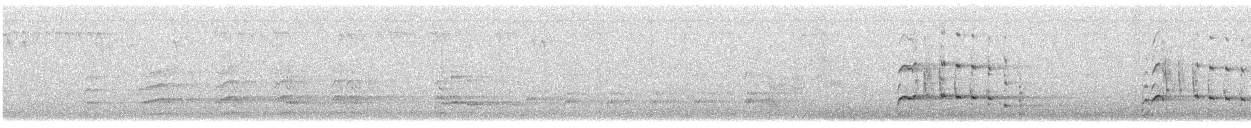 ハクトウワシ - ML640946563