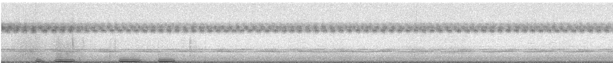 amerikahubro - ML640946763