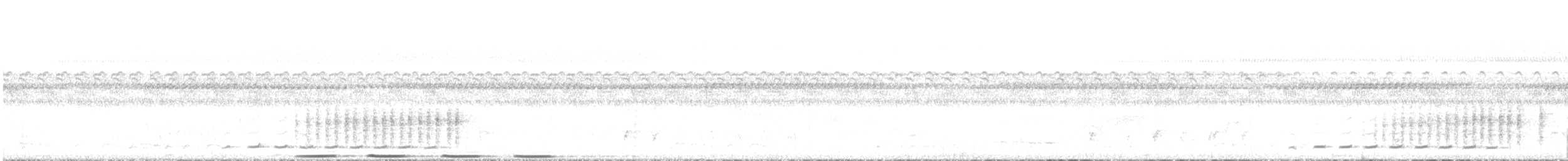 Greater Coucal - ML640948652
