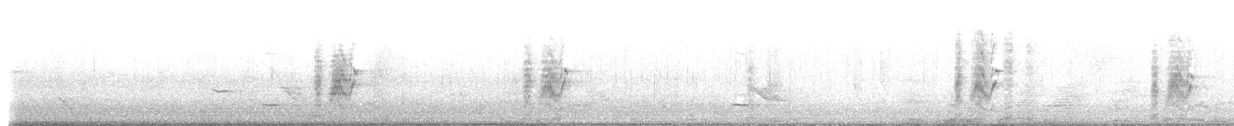 Apôtre gris - ML640949304