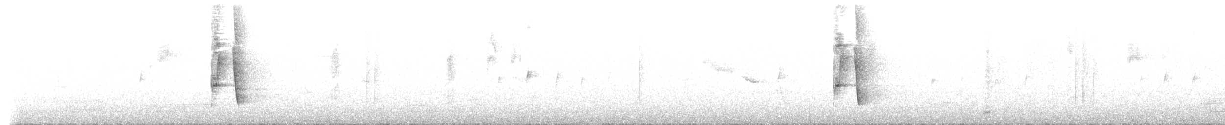 Crescent Honeyeater - ML640949387