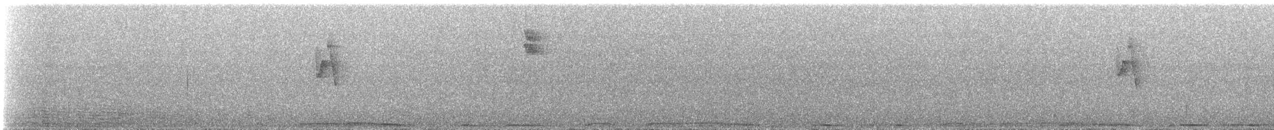 Grünlaubsänger - ML640949761