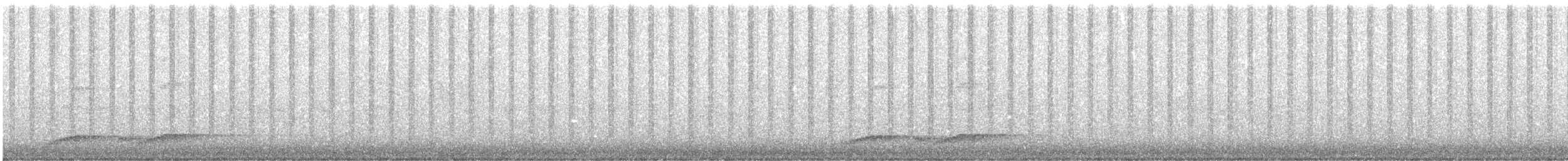 Noisy Pitta - ML640950548